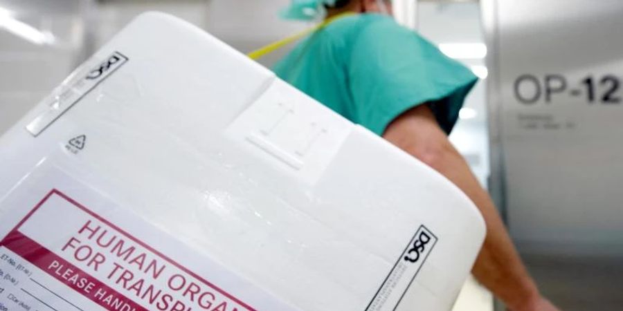 Ein Styropor-Behälter zum Transport von zur Transplantation vorgesehenen Organen. Foto: Soeren Stache/dpa