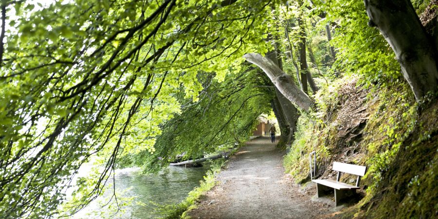 Der Strandweg entlang dem Thunersee. - Region Spiez