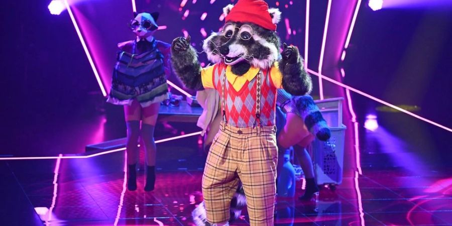 the masked singer 2023 waschbär