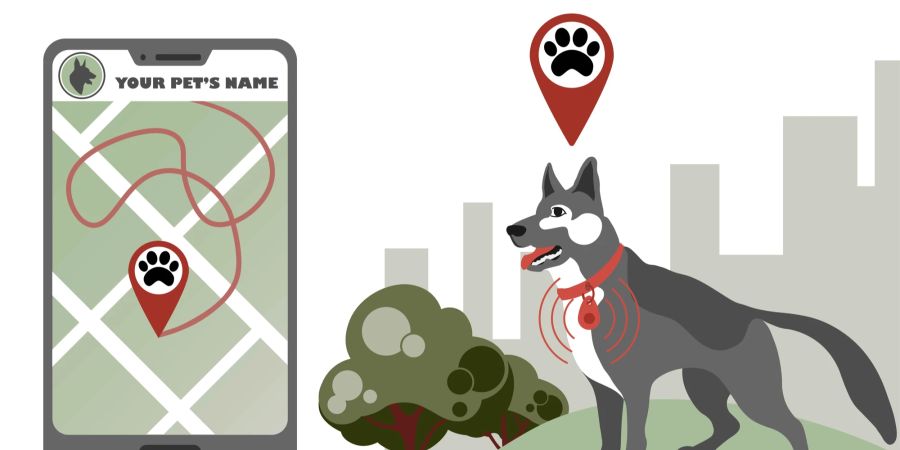 Grafik Hunde Smartphone Tracker