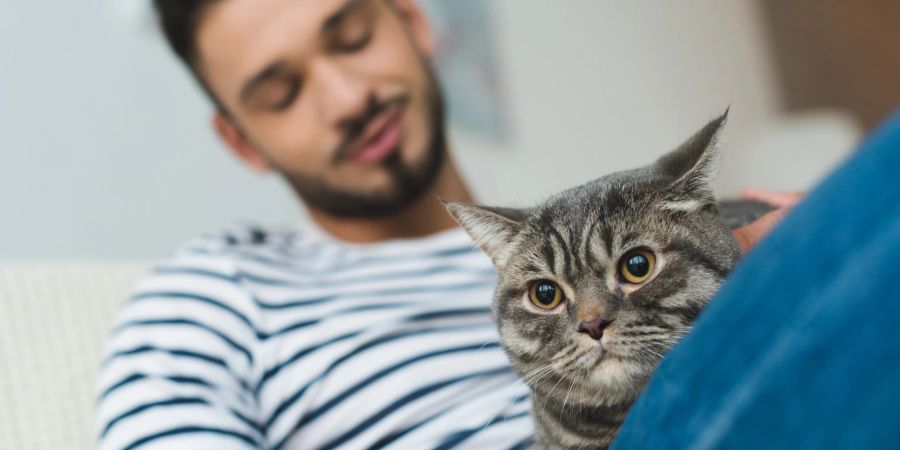 Mann mit Katze auf dem Schoss