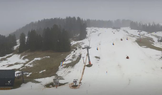 Webcam Wildhaus