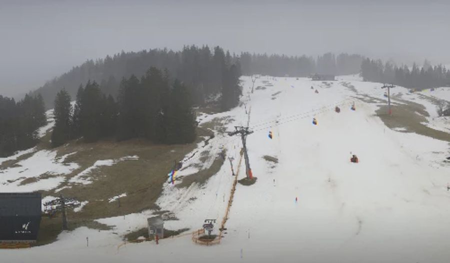 Im Skigebiet Wildhaus SG war die Piste gestern eher von grünen Flecken umgeben.