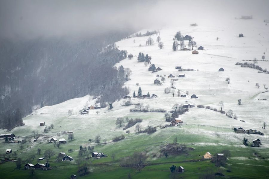 Aktuell liegt der Schnee im Norden ab etwa 800 bis 1000 Metern Höhe, während die Südgrenze noch etwas höher ist. Bis mindestens 800 bis 1000 Meter wird es grün bleiben.