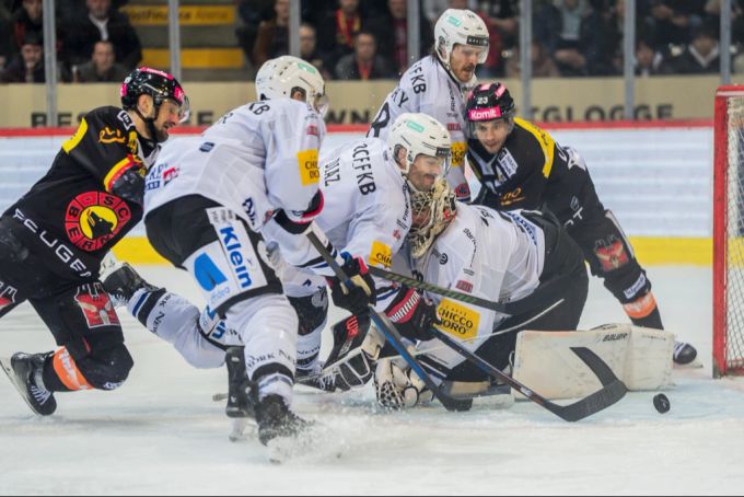 Nicht nur auf dem Eis geht es zwischen dem SC Bern und Fribourg-Gottéron emotional zu und her. SC Bern