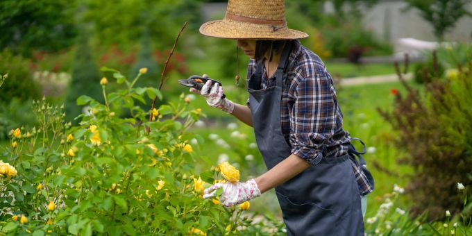 Einheimische Pflanzen in den Garten zu integrieren, ist manchmal mühsam. Gartenarbeit