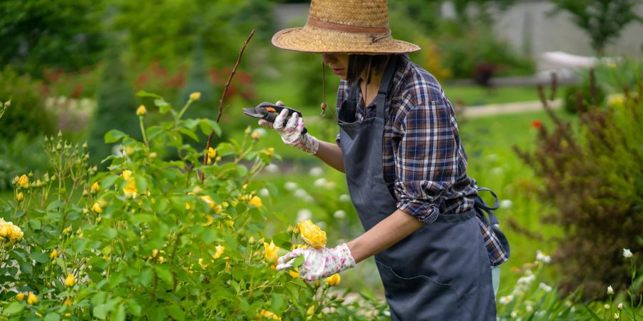 Gartenarbeit