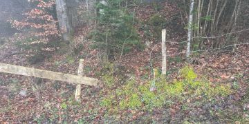 Weidezaun in Etzelweid.