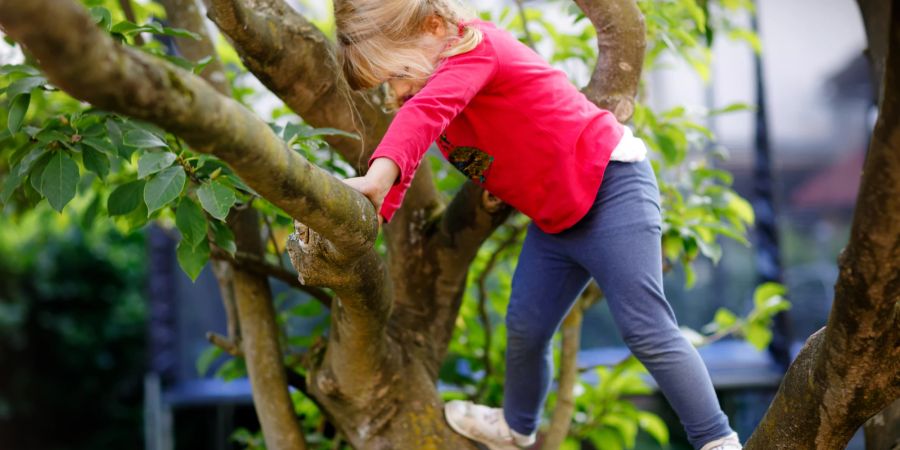 Mädchen klettert auf Baum