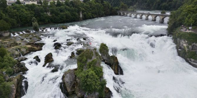 rheinfall suchaktion