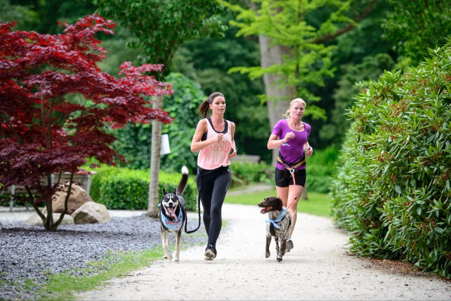 Joggerinnen mit Hund