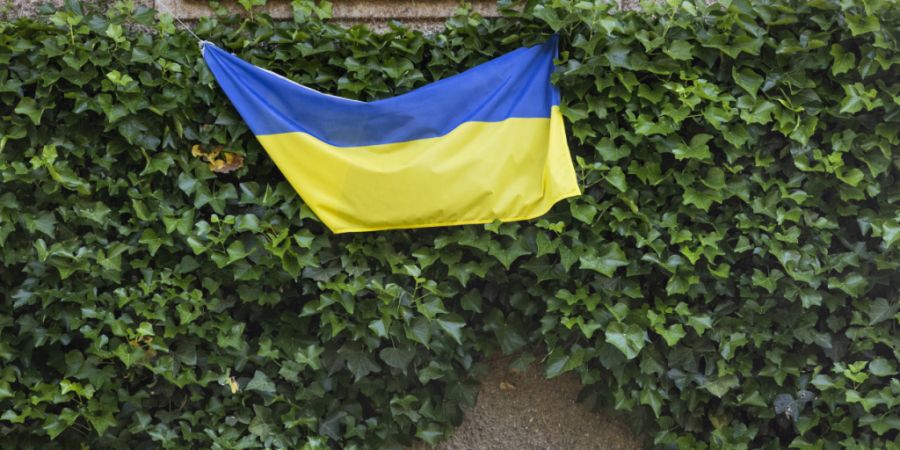 Derzeit leben 2905 ukrainische Flüchtlinge im Baselbiet. (Symbolbild)