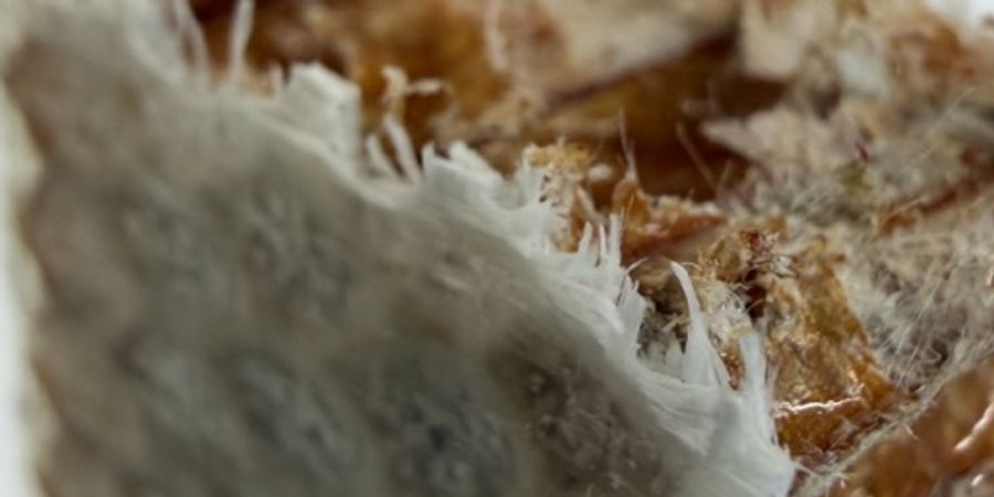 Dieses recyclebare Material soll künftig in Flugzeuge eingebaut werden.