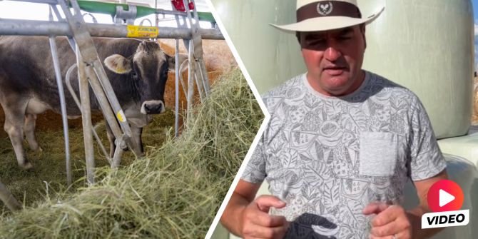 Bauern futter heu betrug