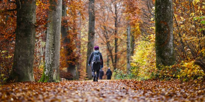 herbst