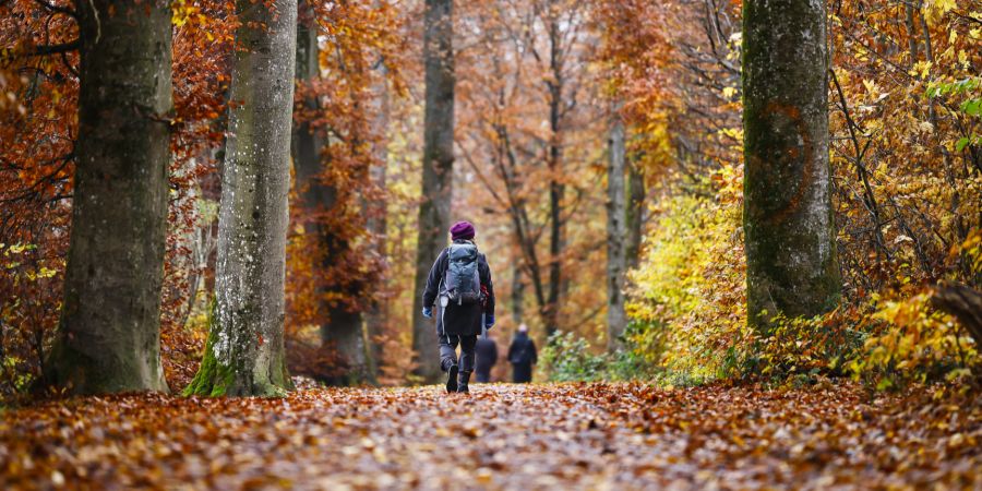 herbst