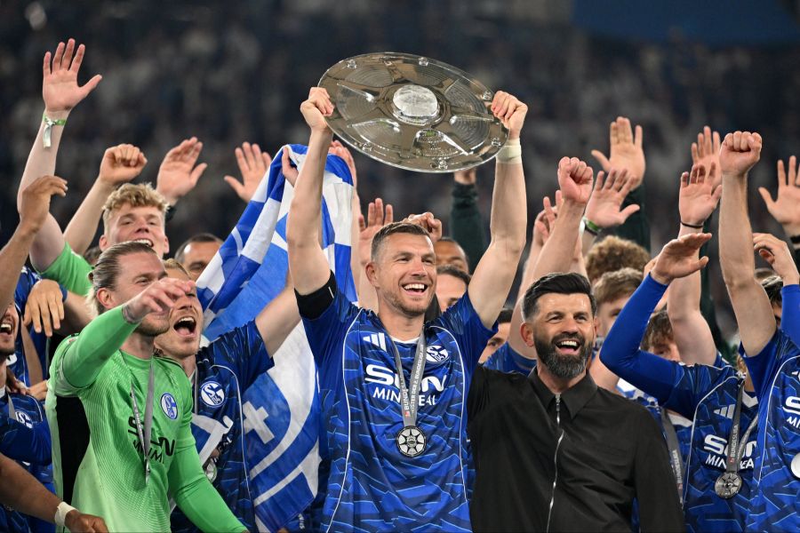 Edin Dzeko Schalke 04