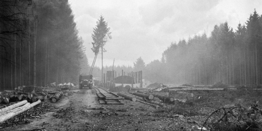 Für die Hauptpiste und den Bau der Gleise der Transportbahn wurden auf der Baustelle des Flughafens Zürich im August 1946 Rodungsarbeiten durchgeführt. (Archivbild)