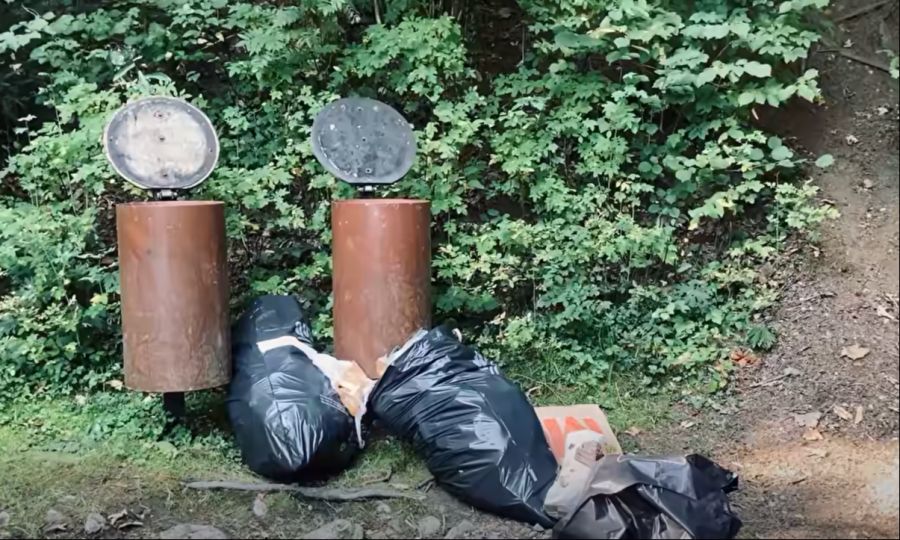 Die Müllsäcke wurden sorglos neben den Eimern deponiert.