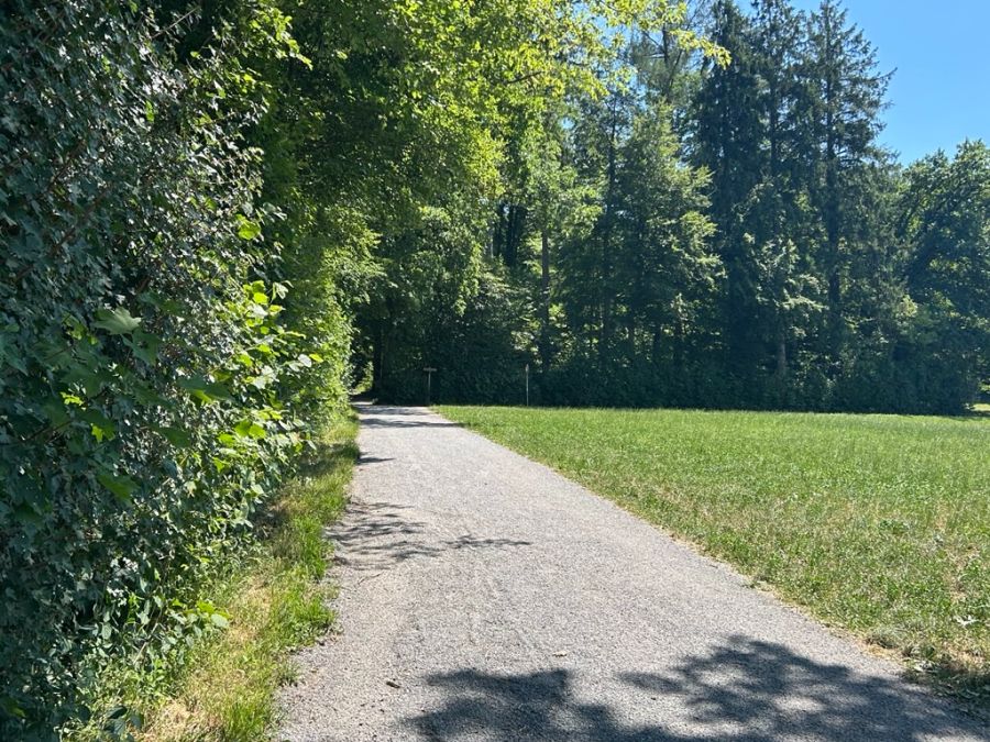 Schilder