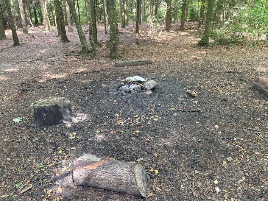 Niederwil Waldbrand