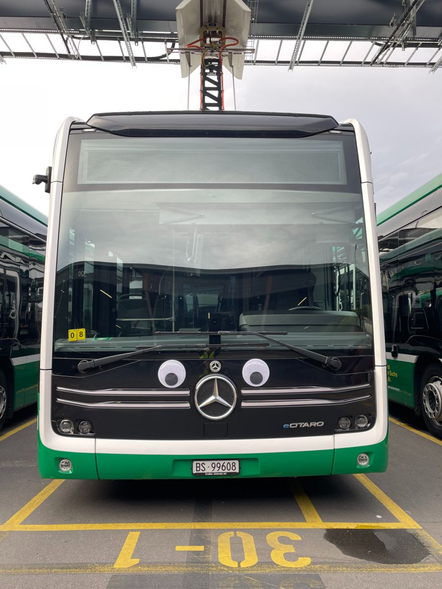 Auch Bussen wurde diese «Dekoration» verpasst.
