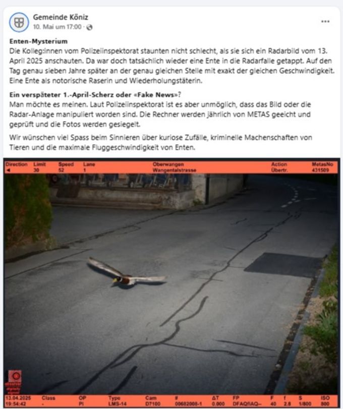 In der Gemeinde Köniz BE ist eine Ente geblitzt worden – schon wieder. Ente Köniz BE