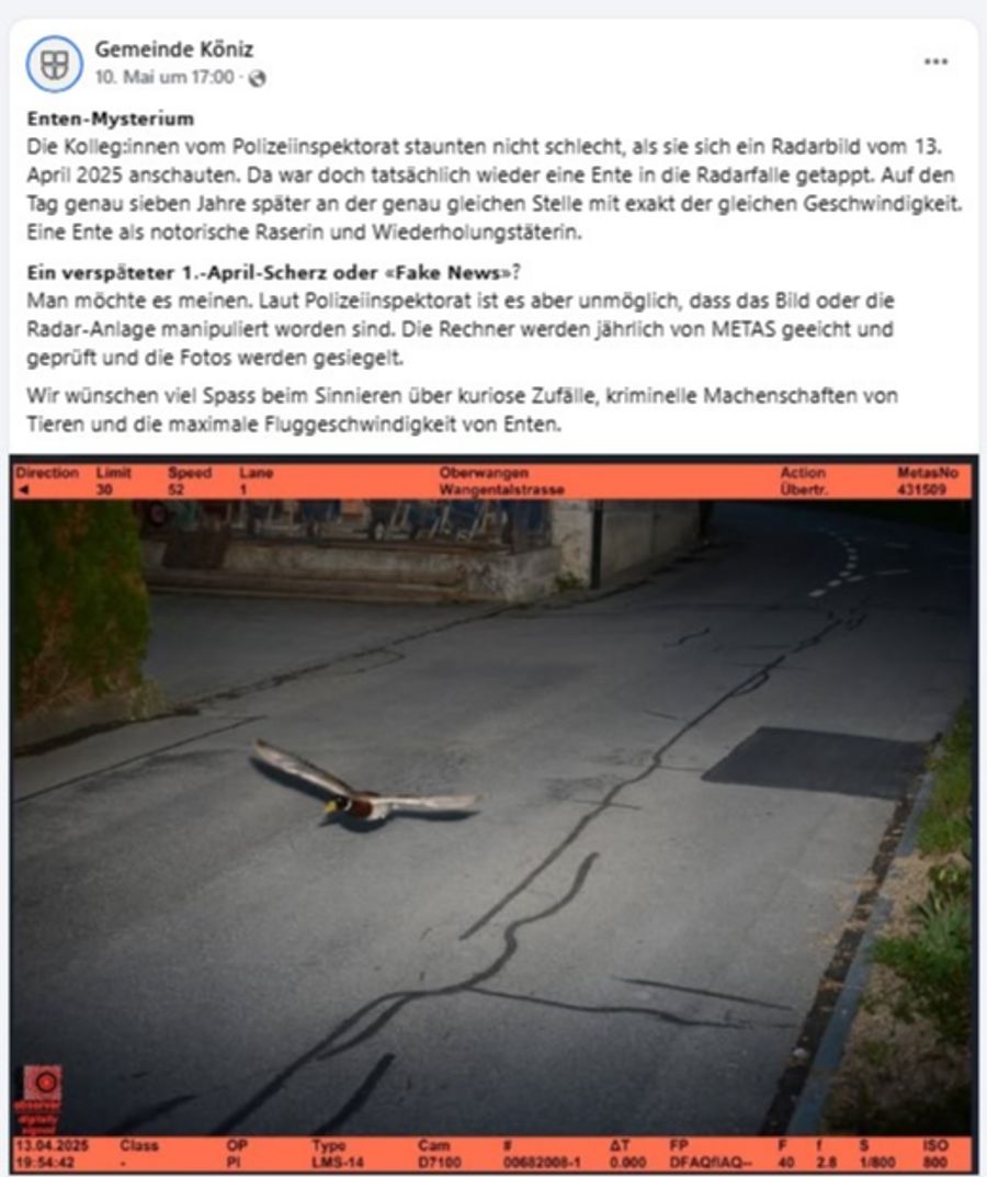 Ente Köniz BE
