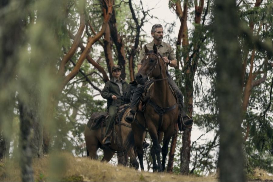 «Untamed»