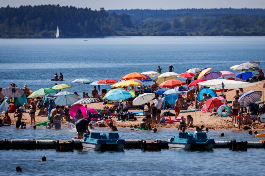 In Deutschland wurde ein Wels getötet, nachdem er am Brombachsee mehrere Badegäste angegriffen hatte.