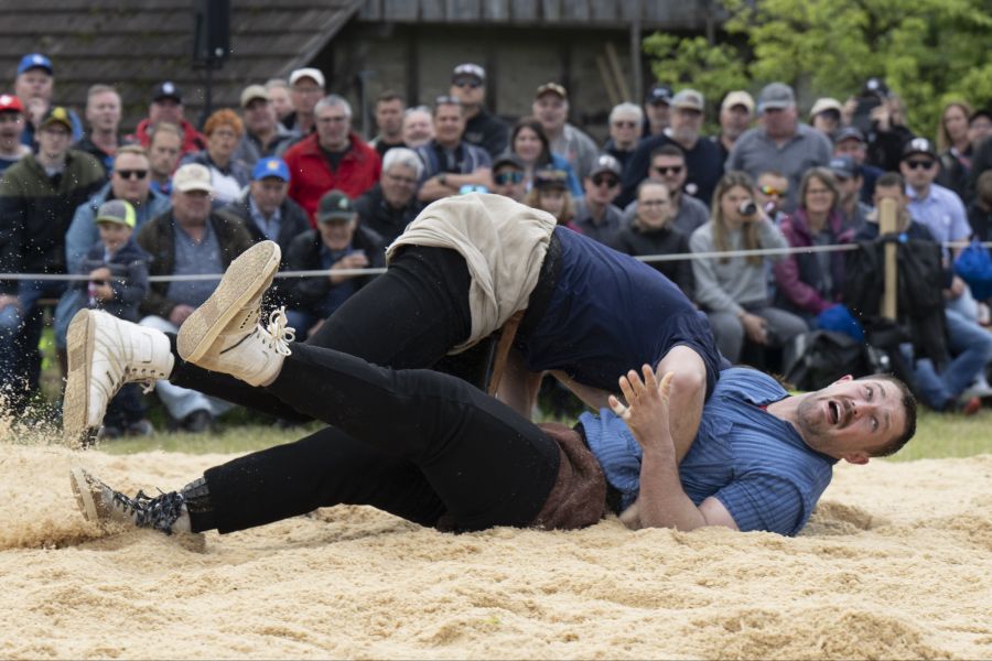 Schwingen