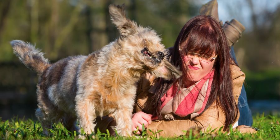 Hund schüttelt sich, Frau, Hundehalterin im Gras