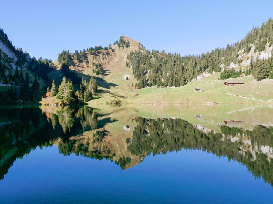 Hinderstockensee Simmental Alpkäserei