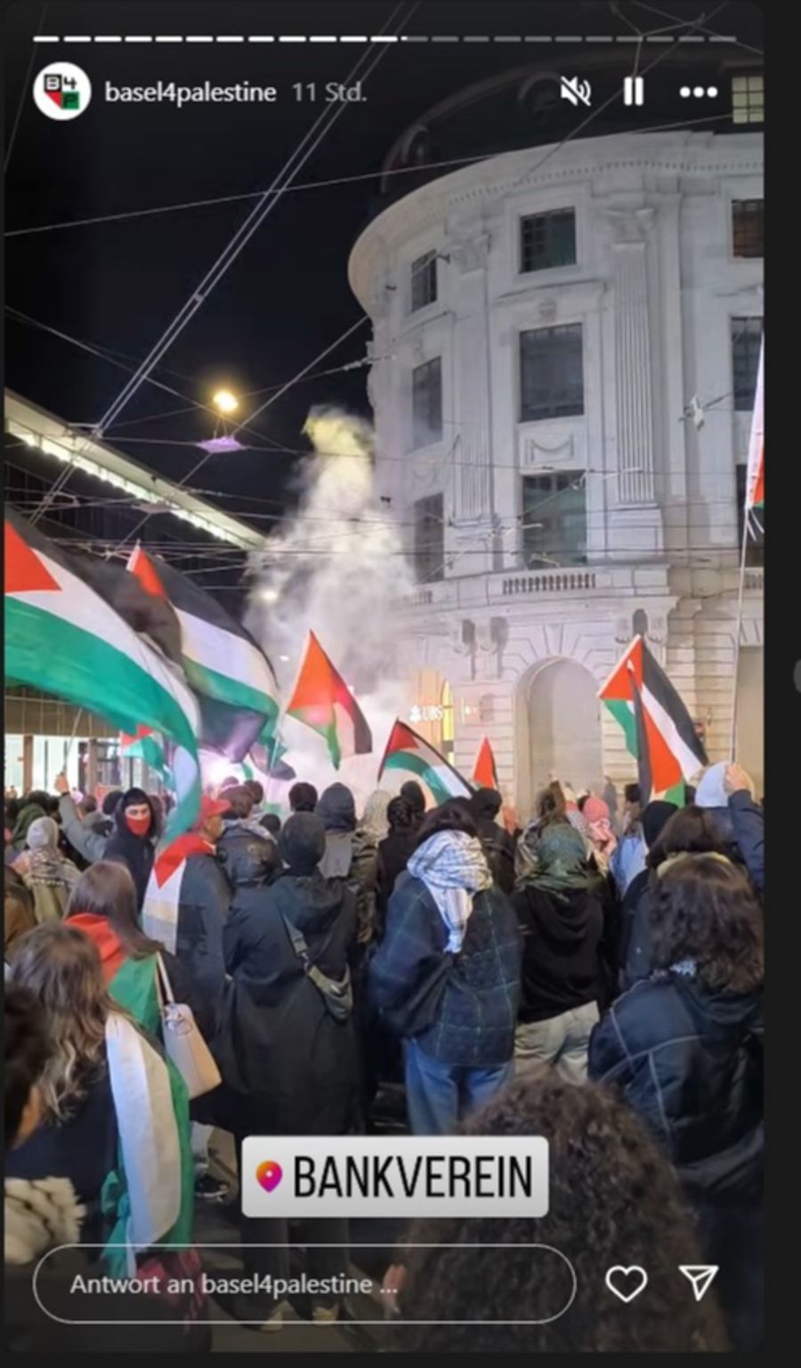 Pro Palästina Demo Basel