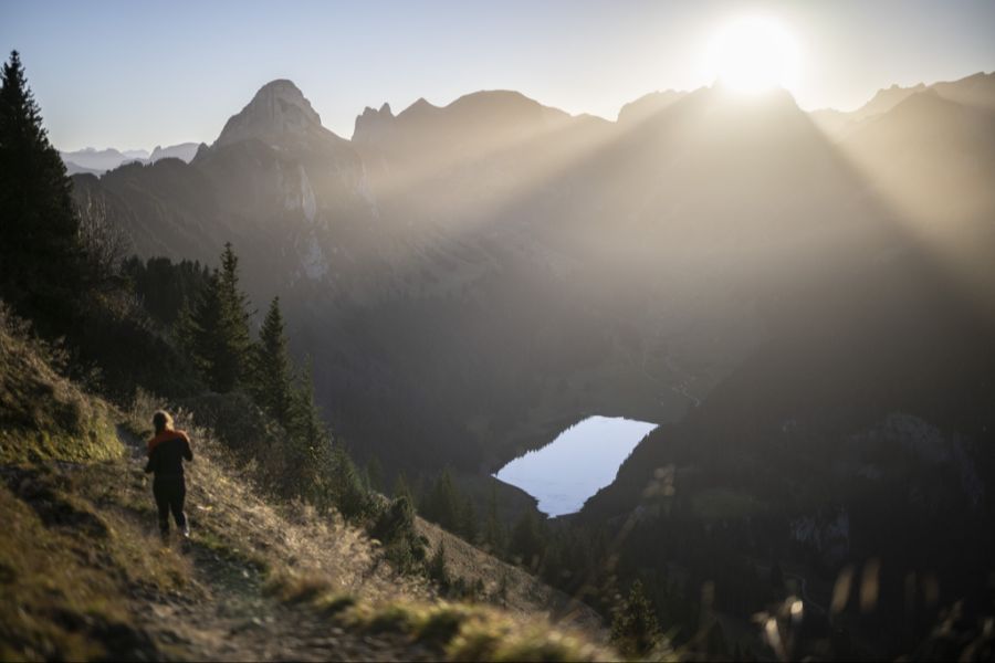 Wanderin in den Bergen