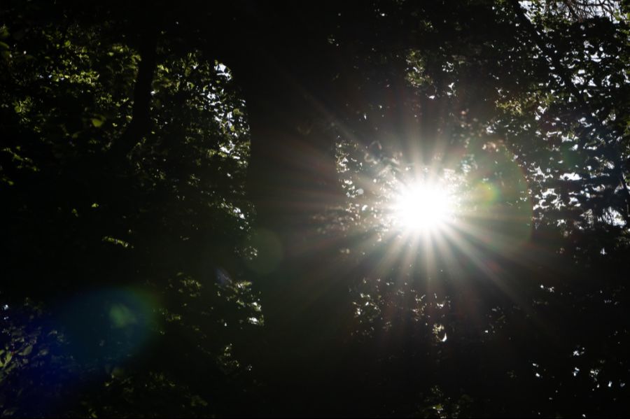 Ab Mittwoch ist es vorbei mit dem sonnigen Wetter.