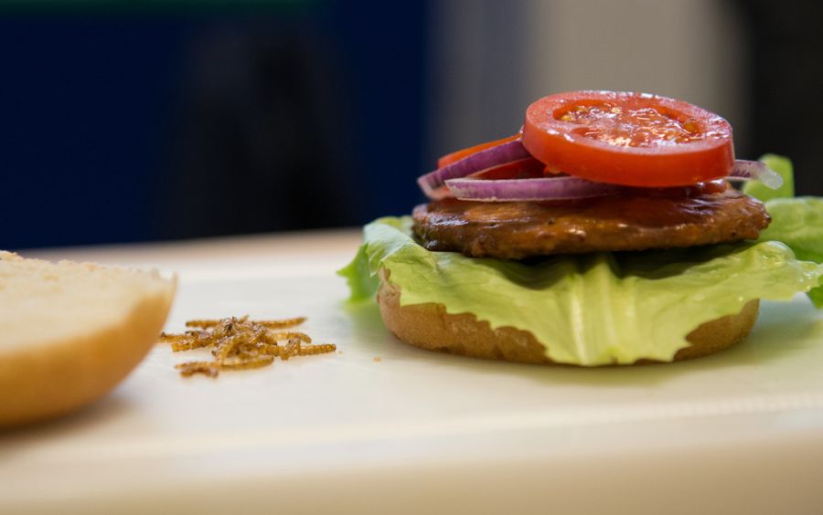 Insekten gelten wegen der Nachhaltigkeit als Proteinquelle der Zukunft.