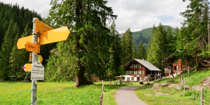 Lenk Simmental Alpkäserei