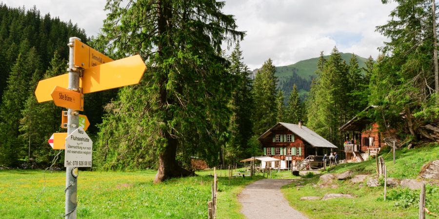 Lenk Simmental Alpkäserei