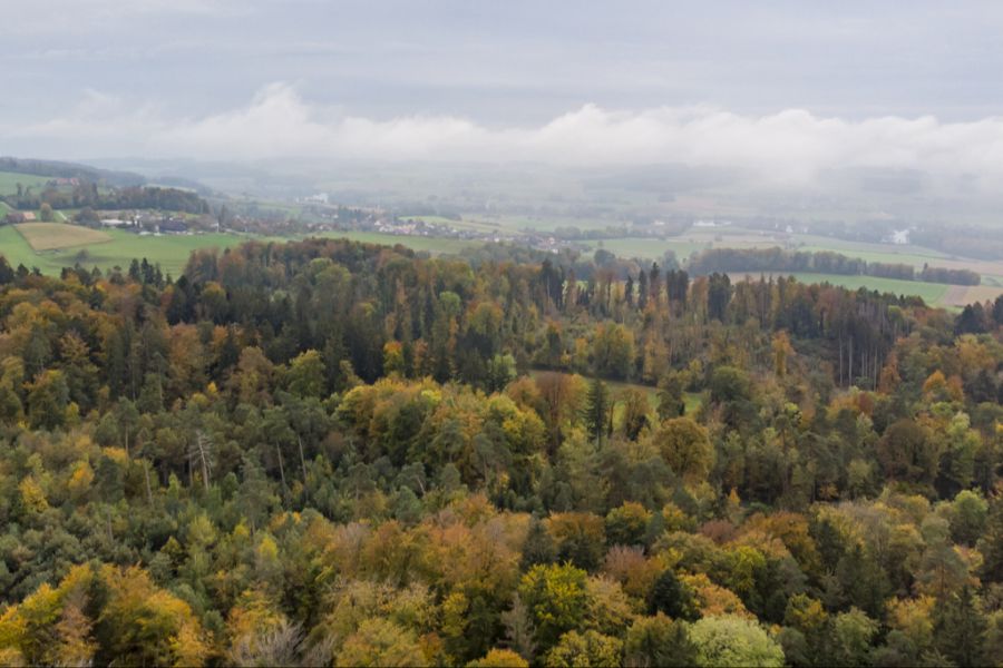 Das Wetter am Wochenende wird herbstlich. (Symbolbild)
