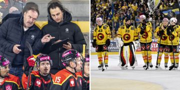 SC Bern