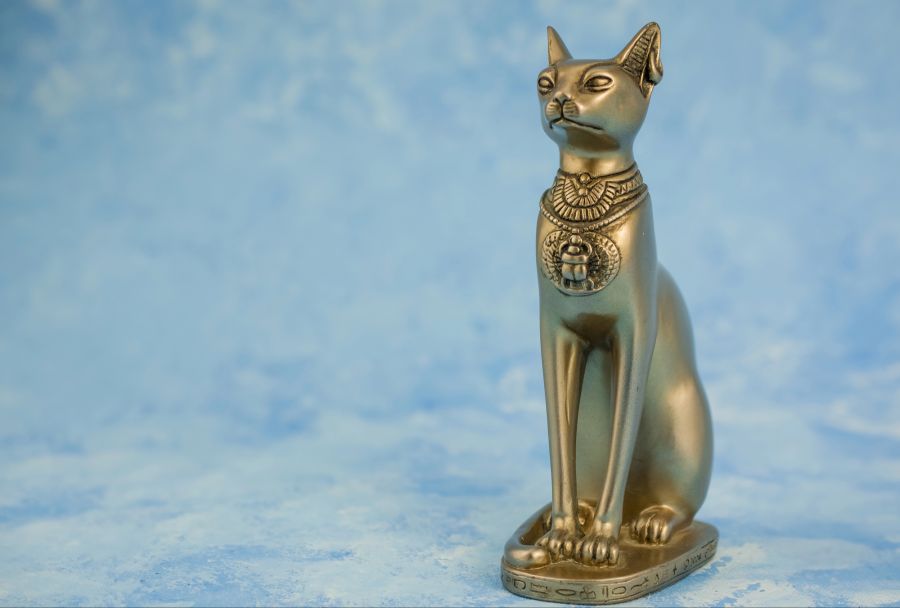 katzen weltweit