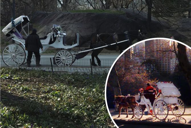New York will Pferdekutschen im Central Park verbieten