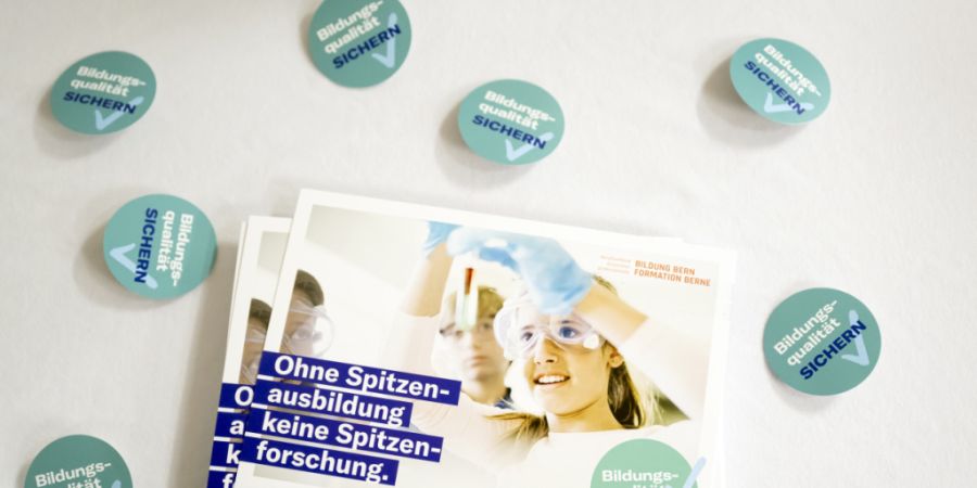 Die Kampagne der Bildungsinitiative verfing im Verwaltungskreis Interlaken-Oberhasli nicht. (Archivbild)