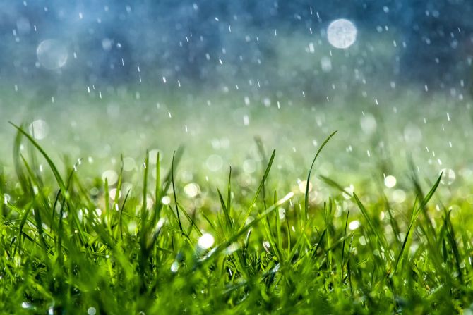 Wiese Wasser Regen Trinkwasser Trockenheit
