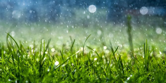Wiese Wasser Regen Trinkwasser Trockenheit