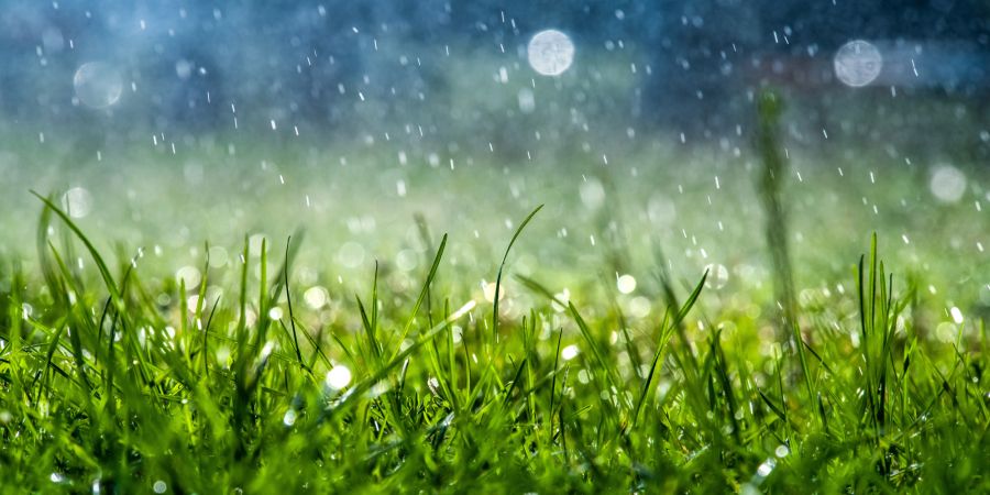 Wiese Wasser Regen Trinkwasser Trockenheit