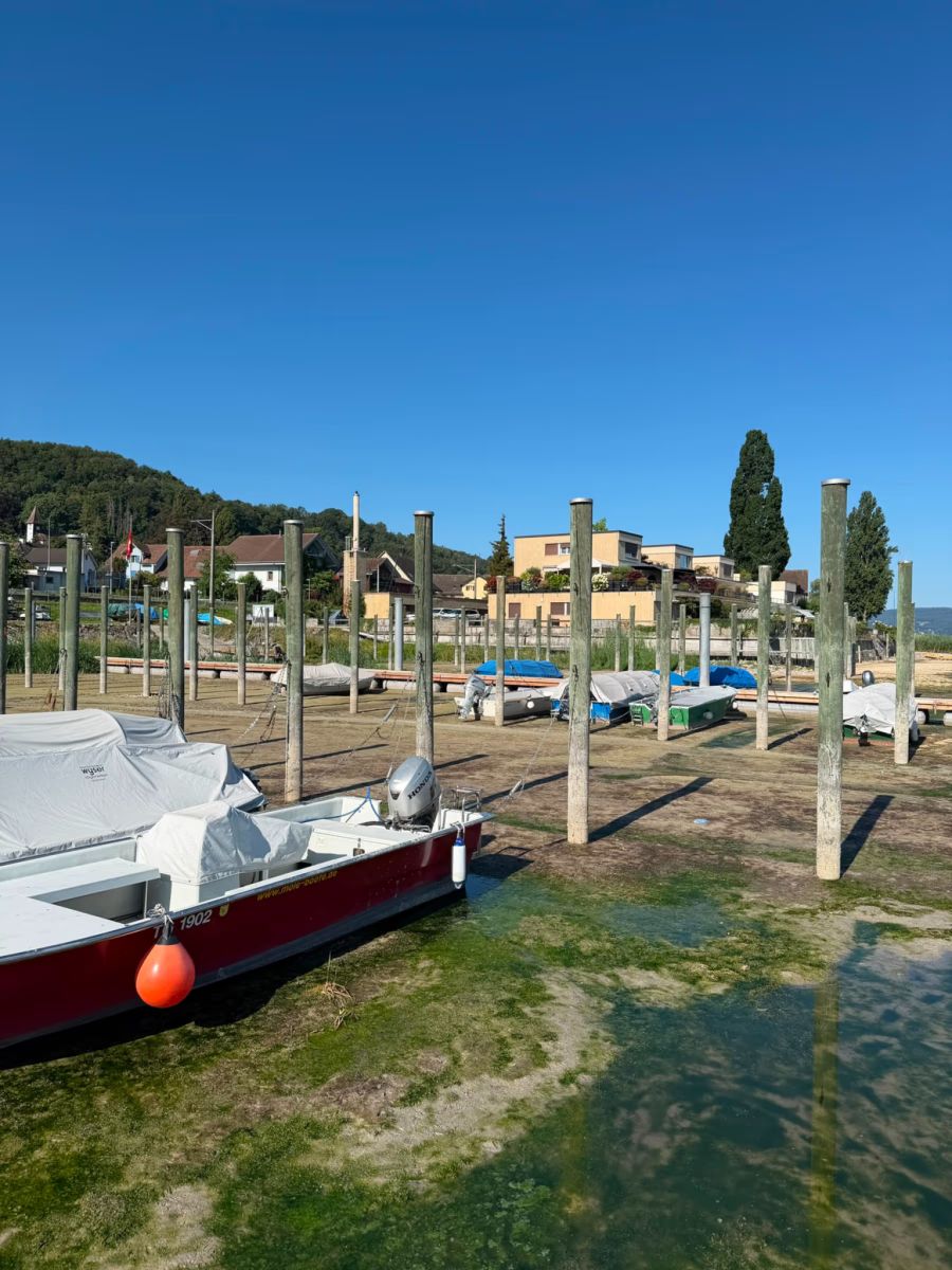 Bereits im Juli lagen Boote am Bodensee im Trockenen. Immerhin: Damals noch neben einer Pfütze und einigen Seepflanzen.