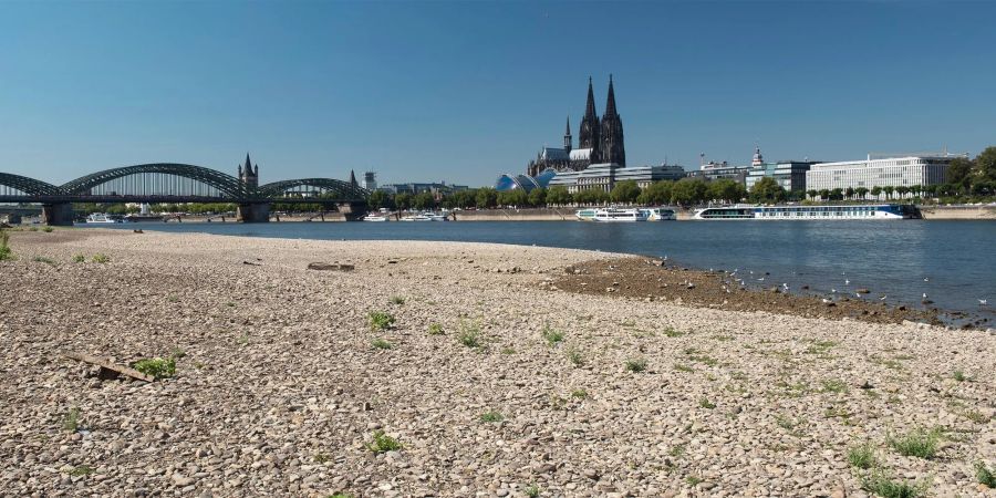 Der Rheinpegel in Köln ist auf einen neuen historischen Tiefstwert gefallen. Bild: Adobe Stock