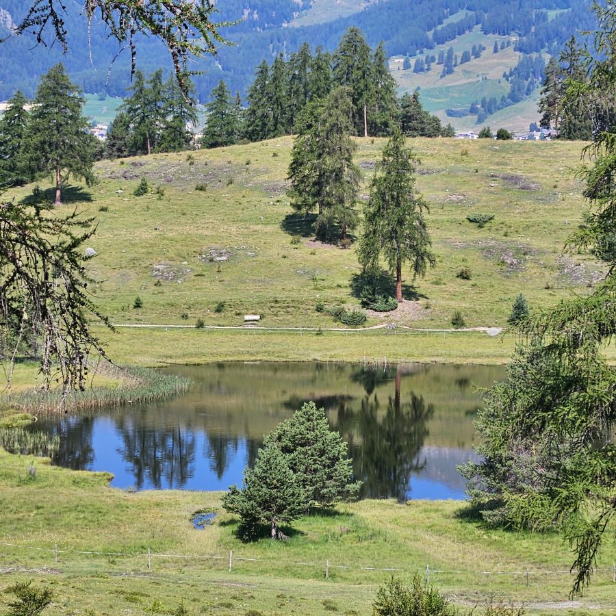 Lai Nair Tarasp